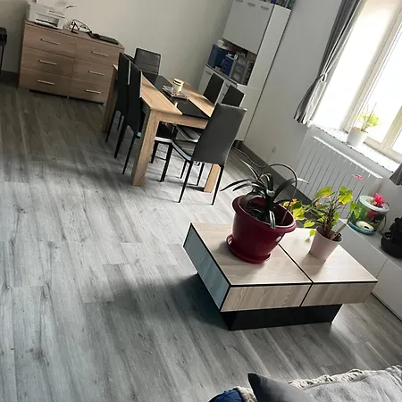 Confortable Chez Habitant Cadillac